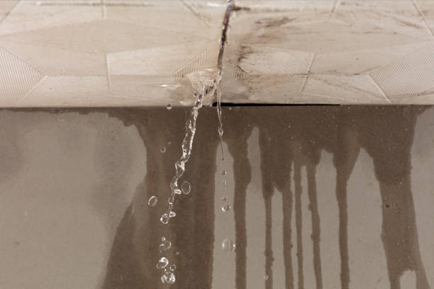 Professional Sewage Cleanup technician working in Pittsville, MD